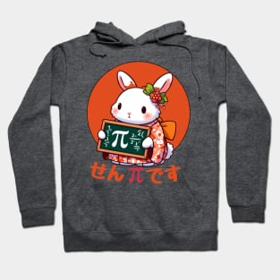 Pi day rabbit Hoodie